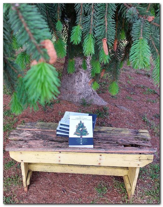 Circuit Intégré National LM1893N - Émetteur-récepteur De Courant (line Carrier) - Boîtier DIP 18 Broches - Neuf